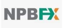 npb fx